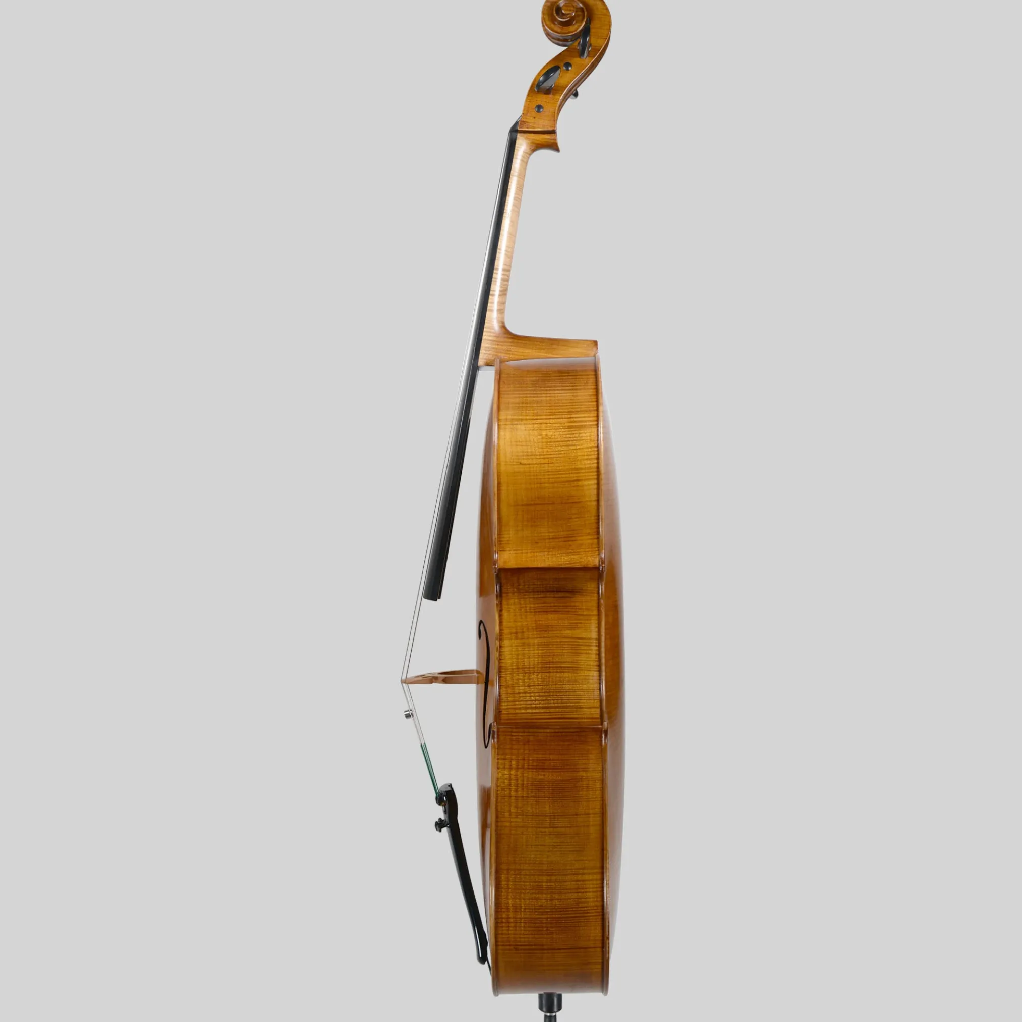 Alexandru Ozon, Bucharest 2008, Stradivarius 'Davidov' Cello