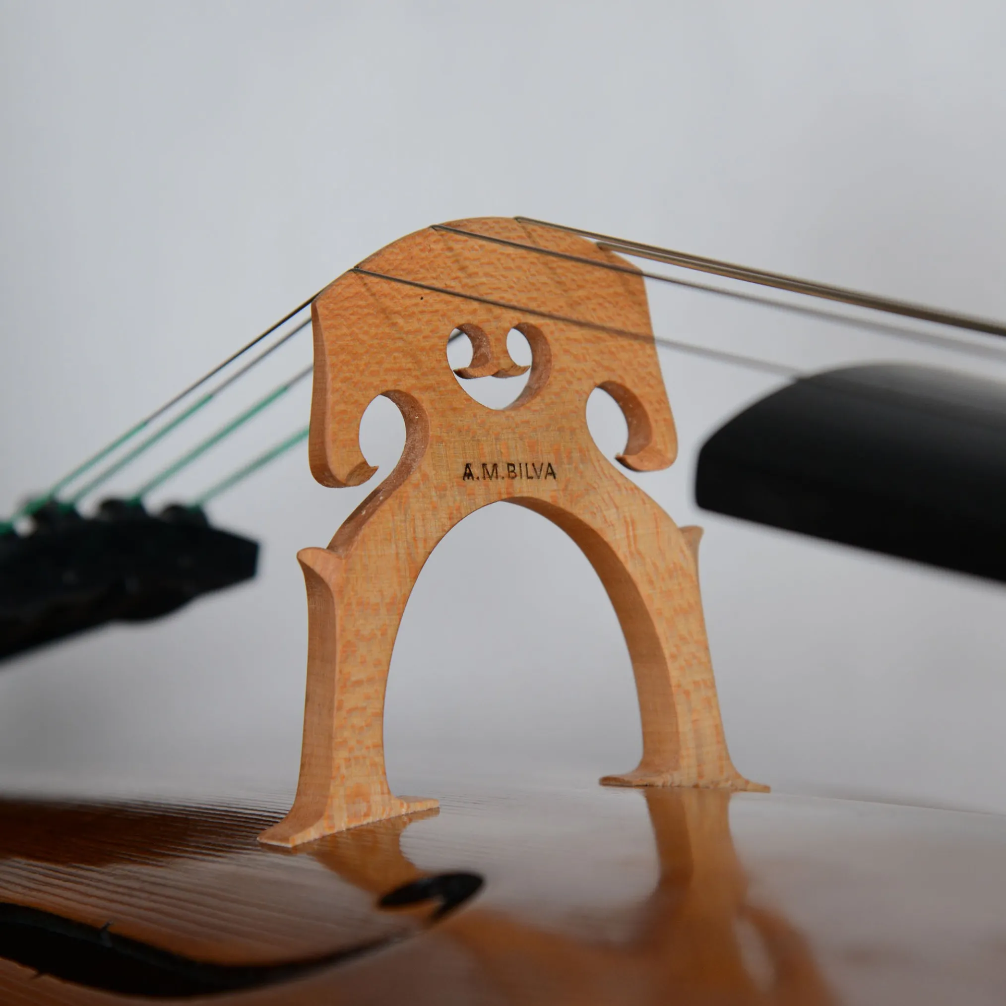 Alexandru Ozon, Bucharest 2008, Stradivarius 'Davidov' Cello