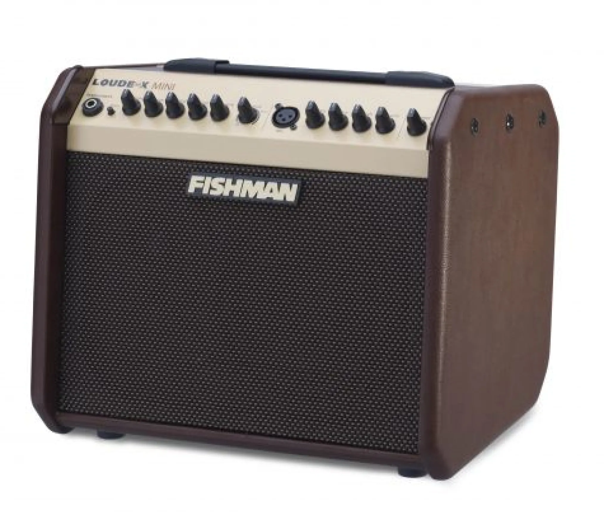 Fishman Loudbox Mini 60W Amplifier