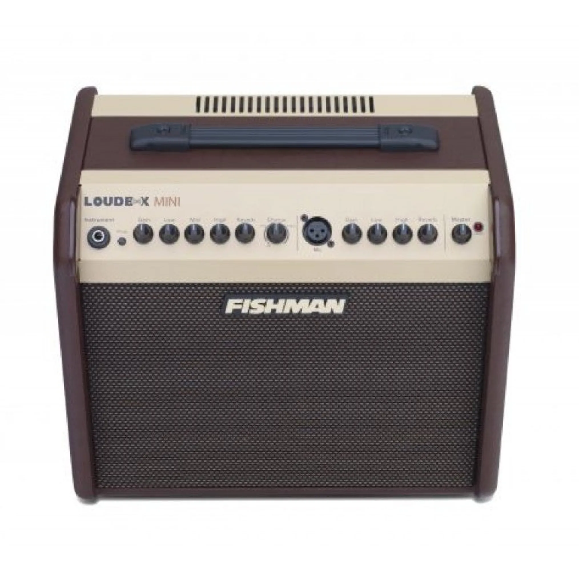 Fishman Loudbox Mini 60W Amplifier