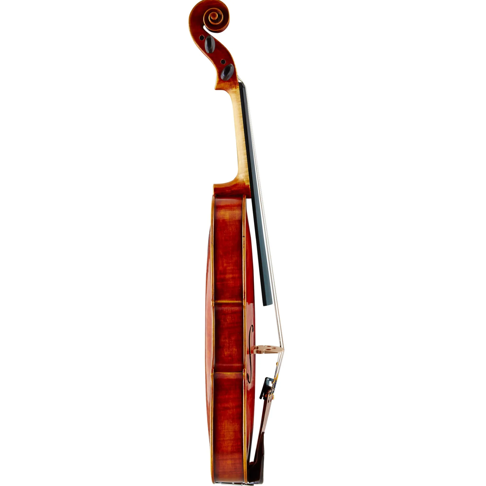 Nicolo Gabrieli Soloist Viola