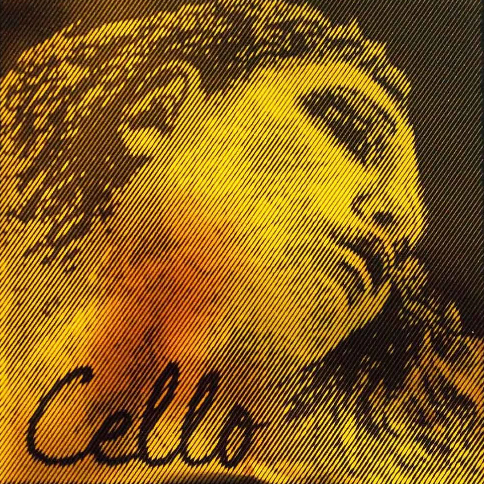 Pirastro Evah Pirazzi Gold Cello C String