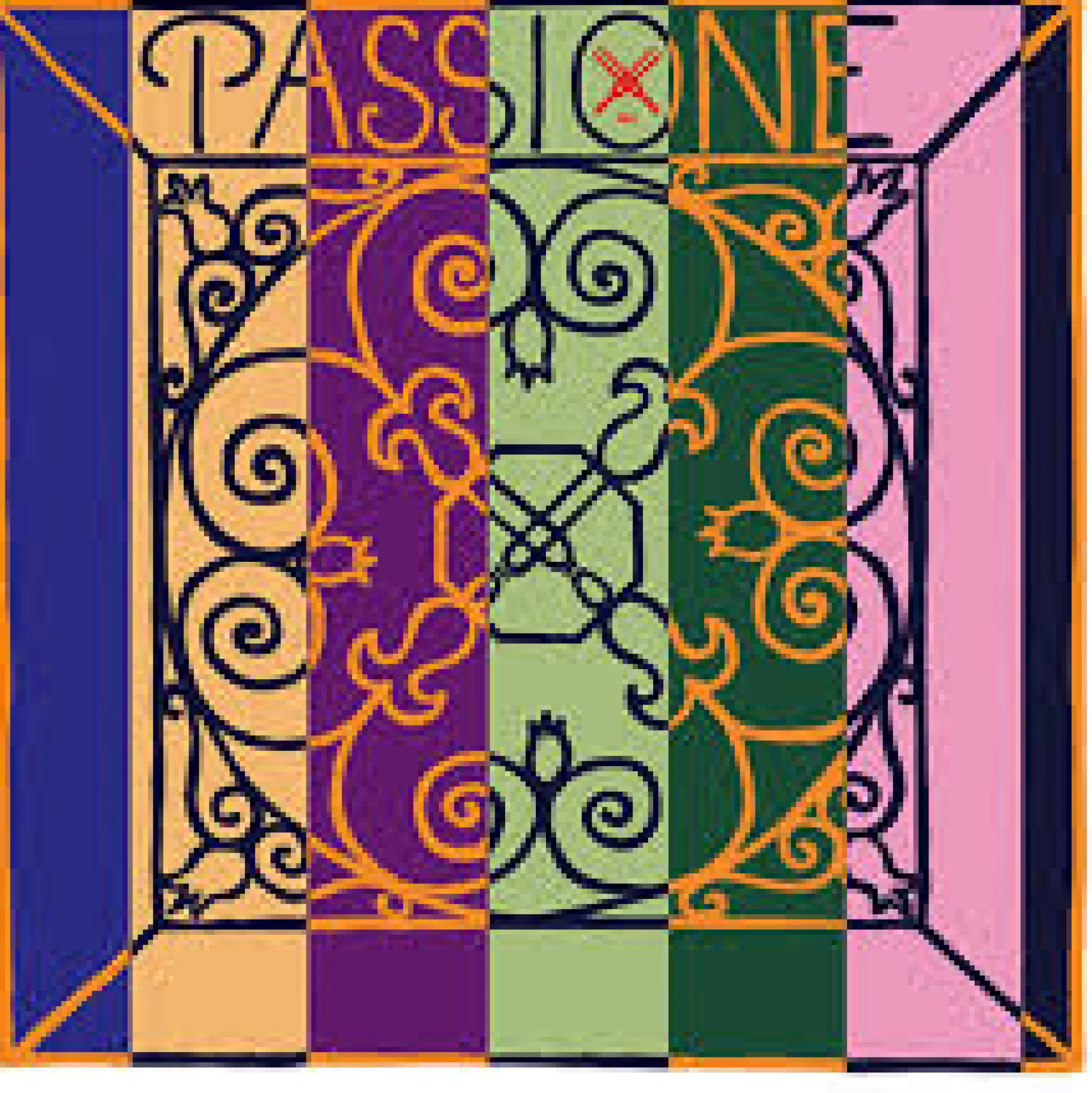 Pirastro Passione Viola C String