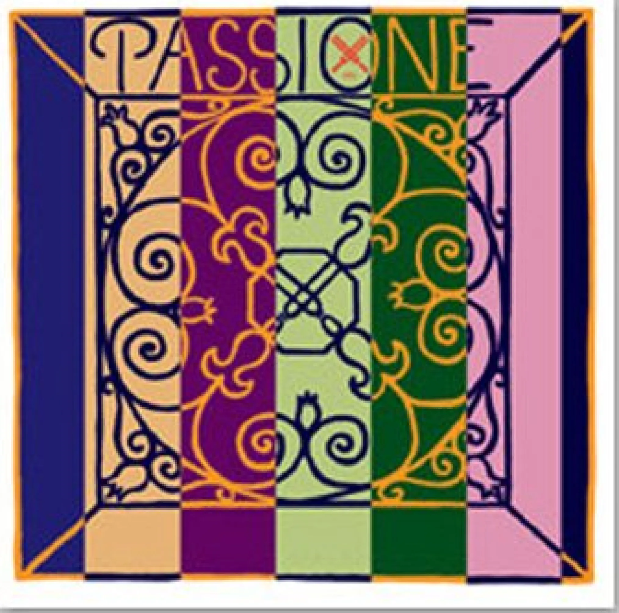 Pirastro Passione Violin E String
