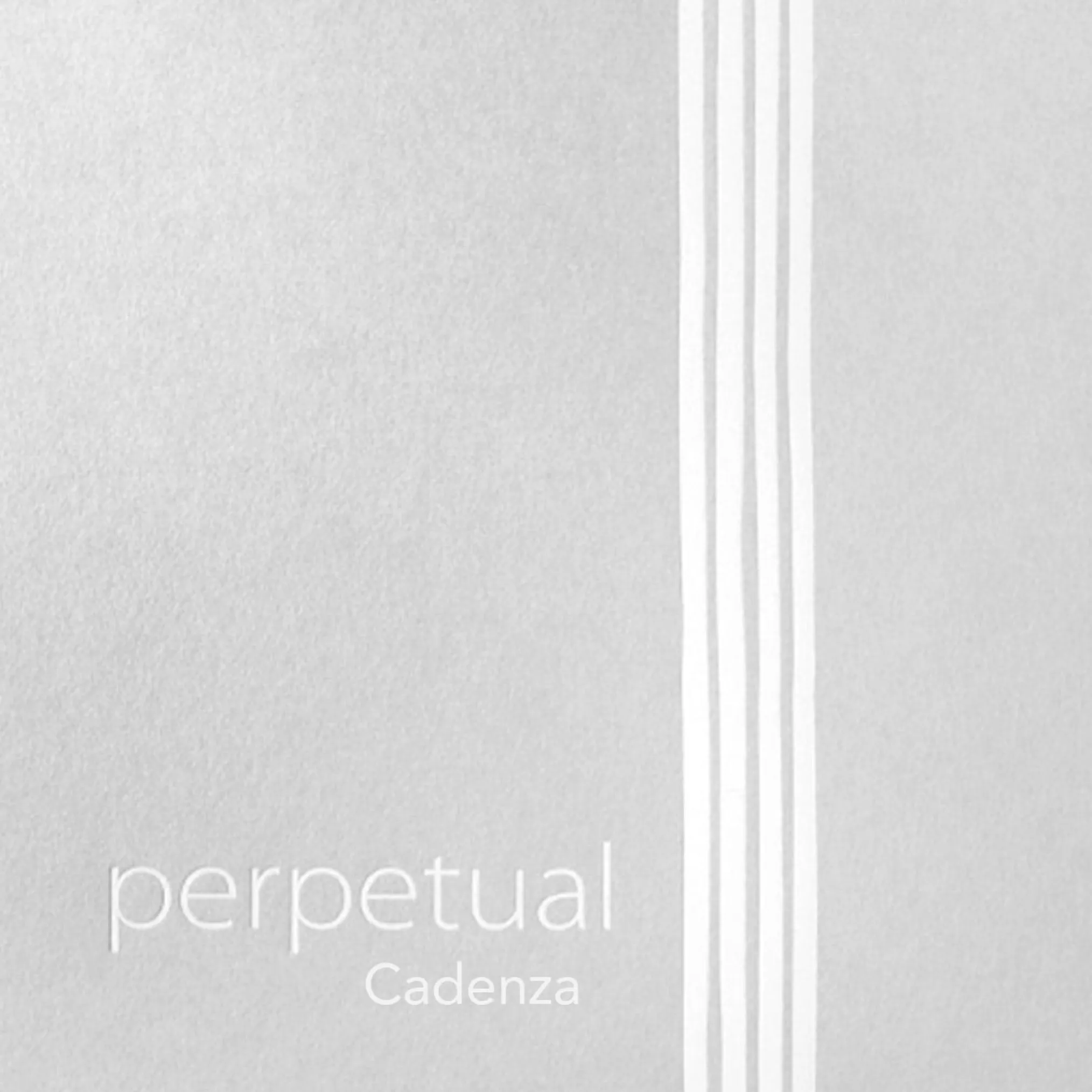 Pirastro Perpetual Cadenza Violin D String