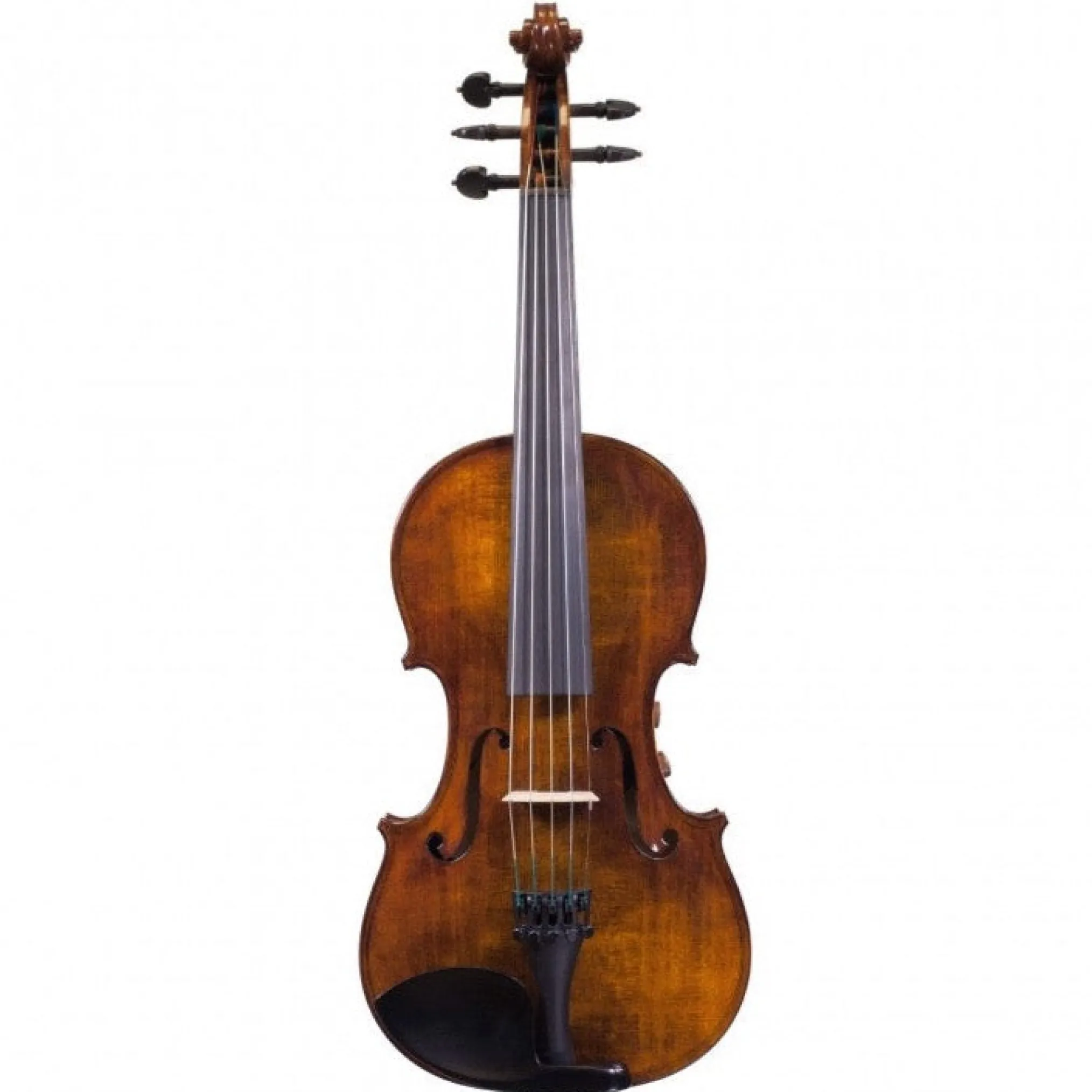 Realist Pro Acoustic-Electric 5-string Violin with Case