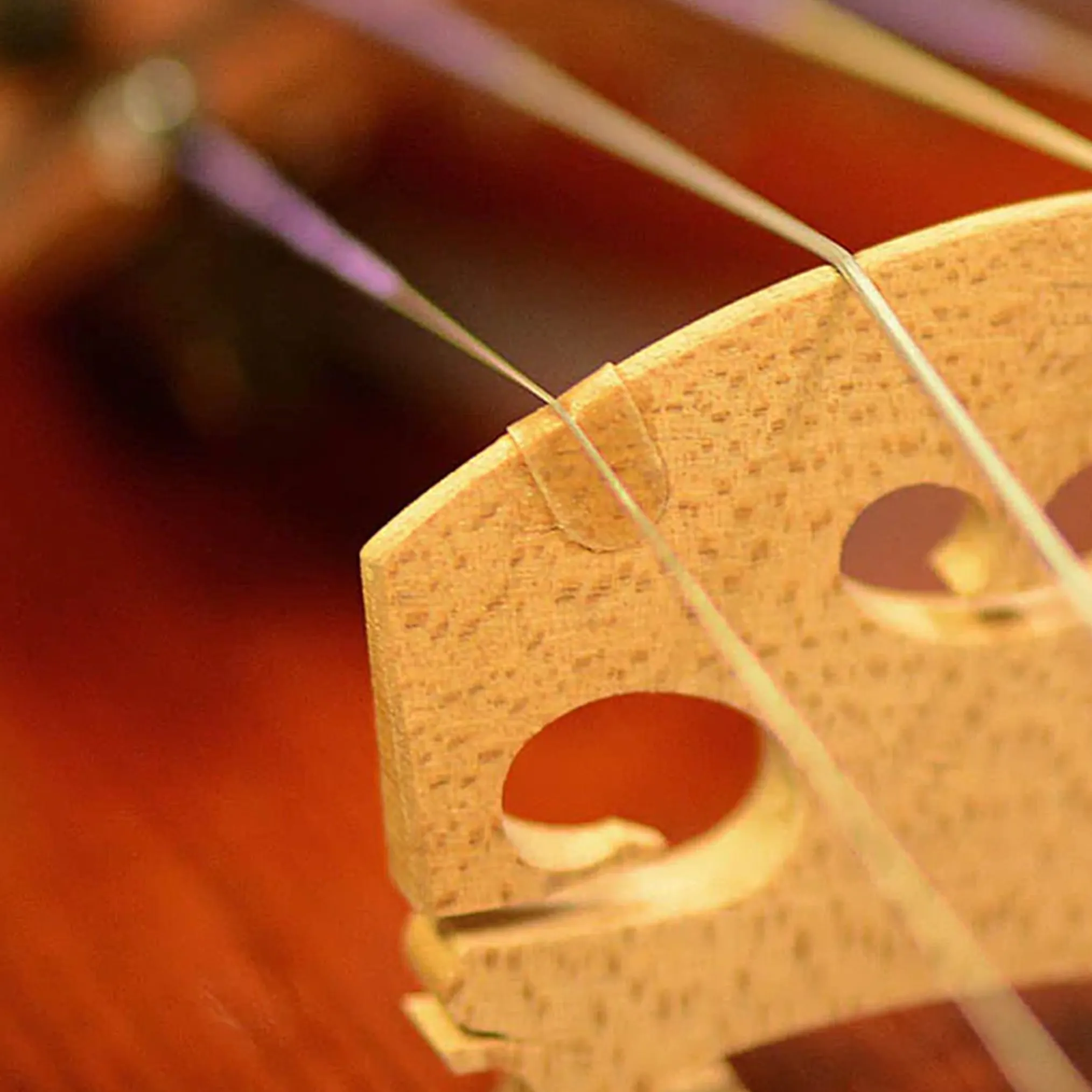 Violin / Viola Bridge Protector 2-Pack