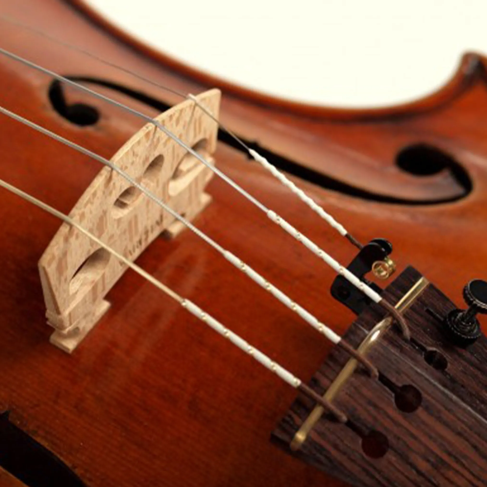 Warchal Amber Violin E String