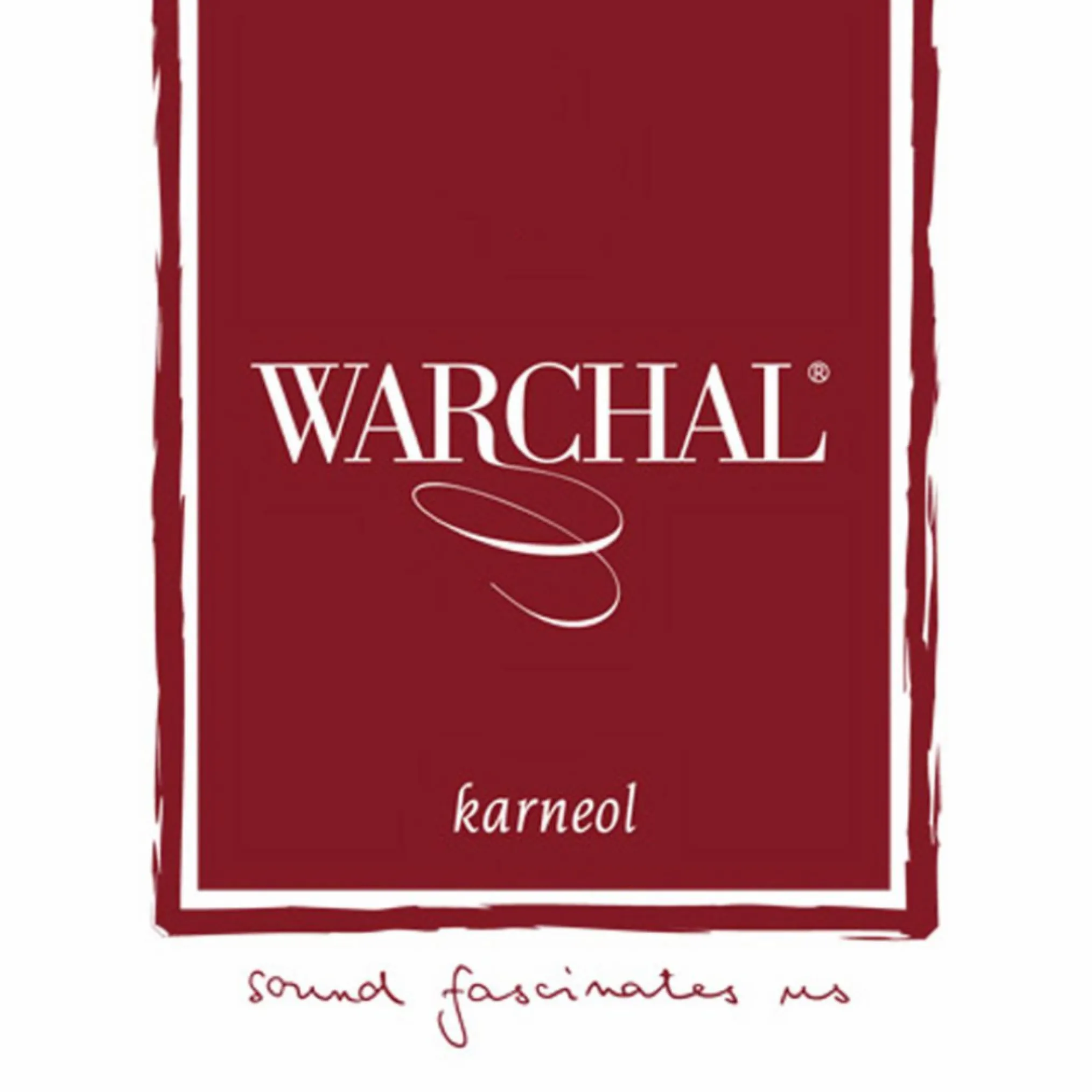 Warchal Karneol Violin E String