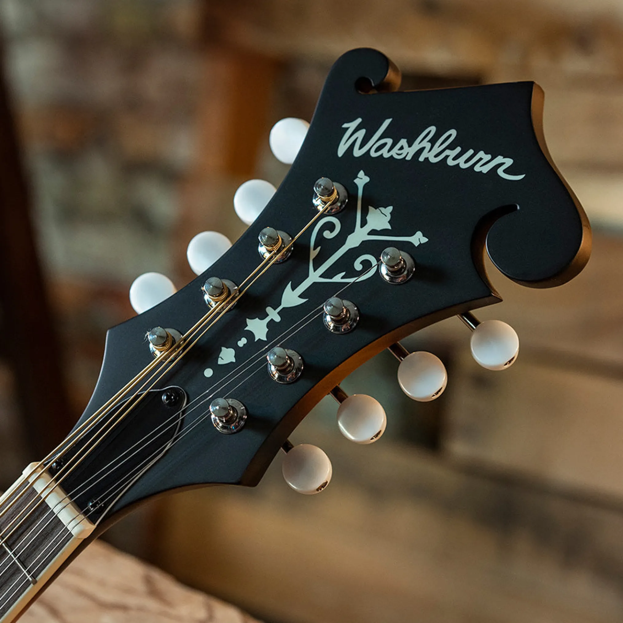 Washburn Americana M3E Acoustic-Electric Mandolin Outfit