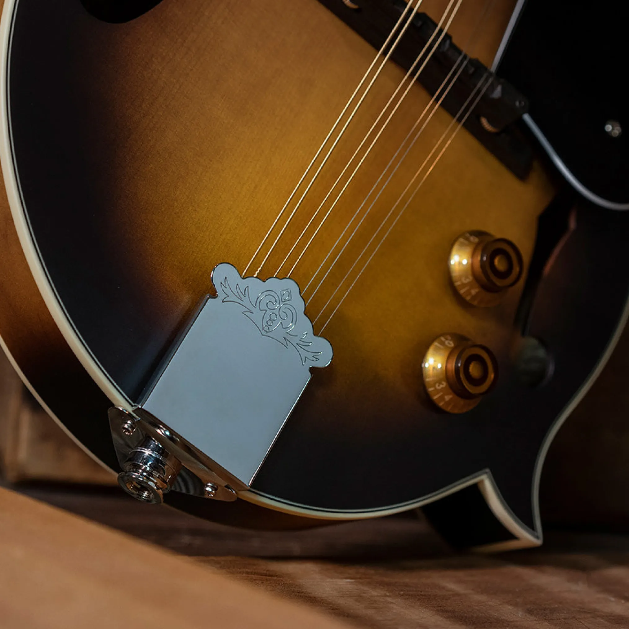 Washburn Americana M3E Acoustic-Electric Mandolin Outfit